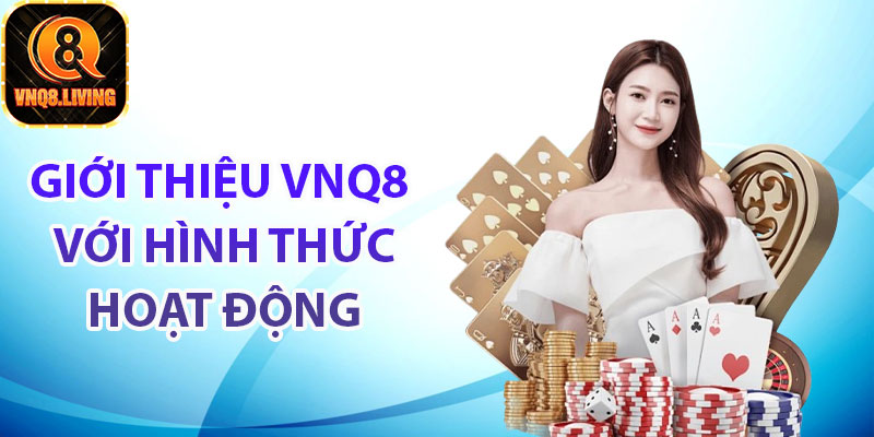 Giới thiệu Vnq8 với hình thức hoạt động cổng game