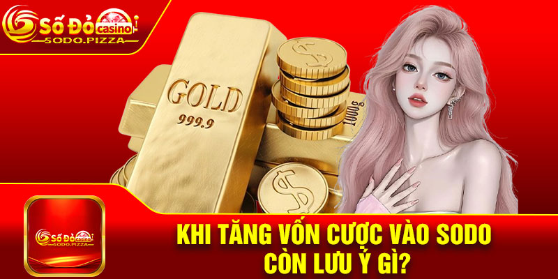 Khi Tăng Vốn Cược Vào Sodo Còn Lưu Ý Gì?